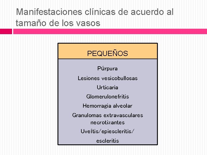 Manifestaciones clínicas de acuerdo al tamaño de los vasos PEQUEÑOS Púrpura Lesiones vesicobullosas Urticaria