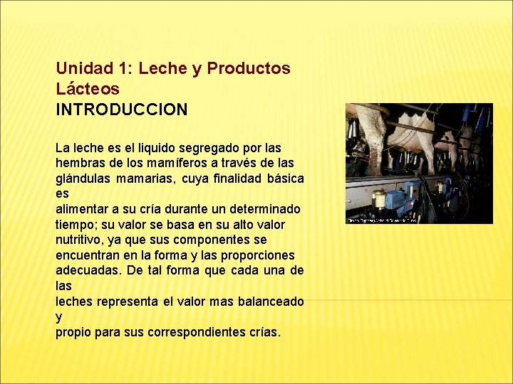 Unidad 1: Leche y Productos Lácteos INTRODUCCION La leche es el liquido segregado por