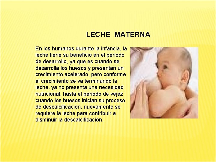 LECHE MATERNA En los humanos durante la infancia, la leche tiene su beneficio en