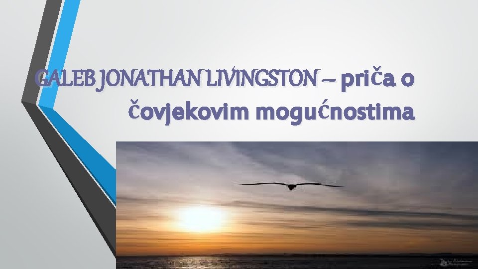 GALEB JONATHAN LIVINGSTON – priča o čovjekovim mogućnostima 
