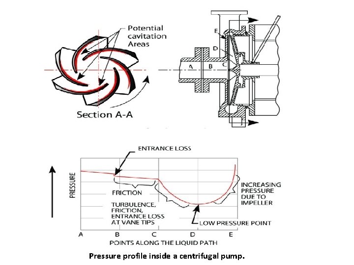 Pressure profile inside a centrifugal pump. 