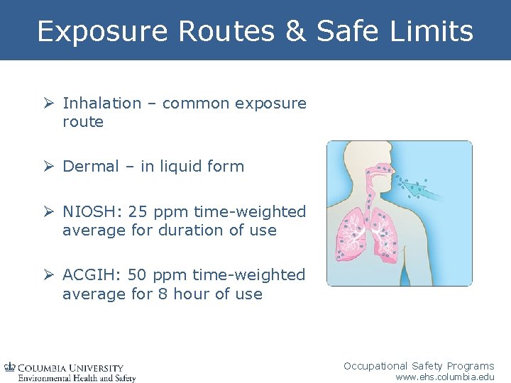 Exposure Routes & Safe Limits Ø Inhalation – common exposure route Ø Dermal –
