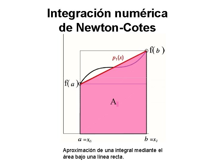 Integración numérica de Newton-Cotes Aproximación de una integral mediante el área bajo una línea