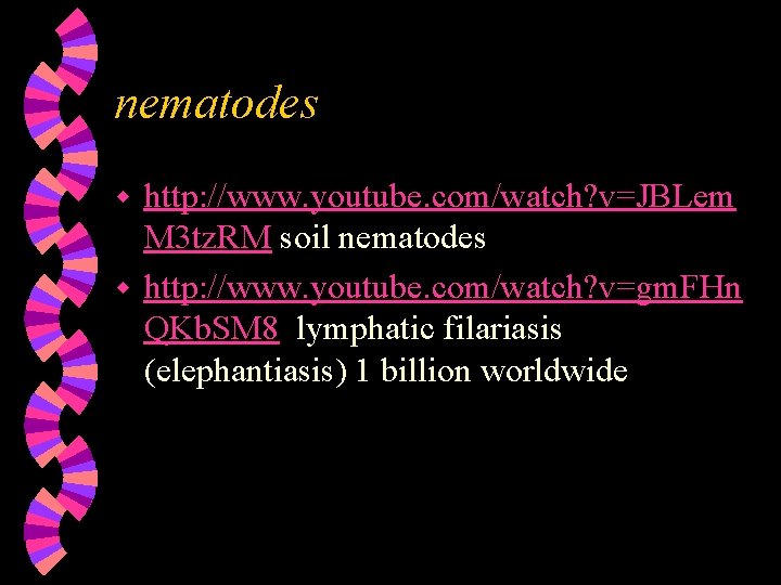 nematodes http: //www. youtube. com/watch? v=JBLem M 3 tz. RM soil nematodes w http: