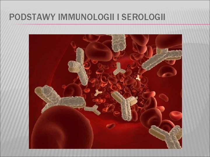 PODSTAWY IMMUNOLOGII I SEROLOGII 