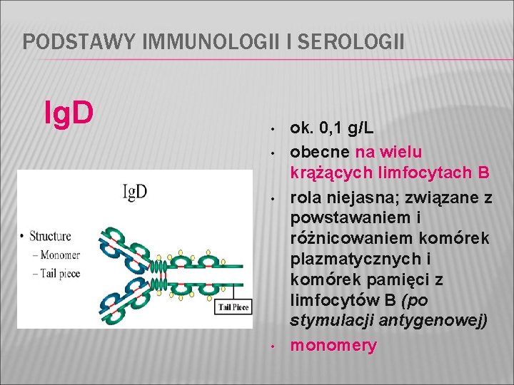 PODSTAWY IMMUNOLOGII I SEROLOGII Ig. D • • ok. 0, 1 g/L obecne na