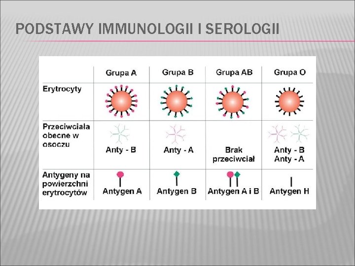 PODSTAWY IMMUNOLOGII I SEROLOGII 