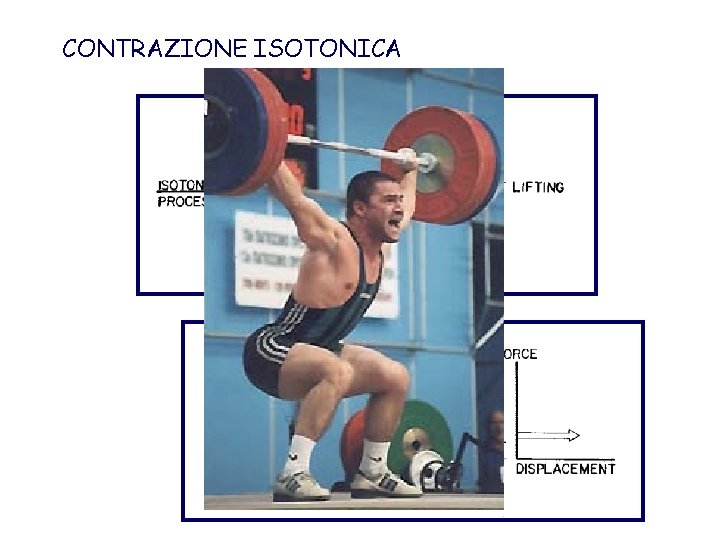 CONTRAZIONE ISOTONICA 