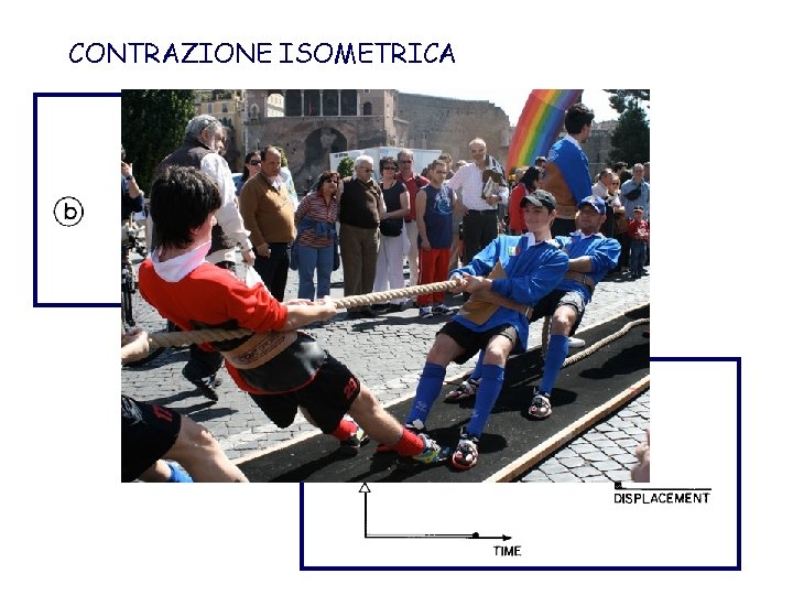 CONTRAZIONE ISOMETRICA 