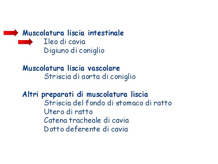 Muscolatura liscia intestinale Ileo di cavia Digiuno di coniglio Muscolatura liscia vascolare Striscia di