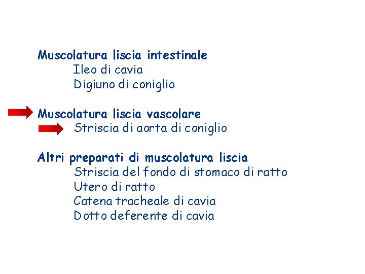 Muscolatura liscia intestinale Ileo di cavia Digiuno di coniglio Muscolatura liscia vascolare Striscia di