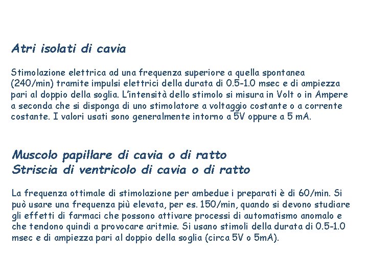 Atri isolati di cavia Stimolazione elettrica ad una frequenza superiore a quella spontanea (240/min)