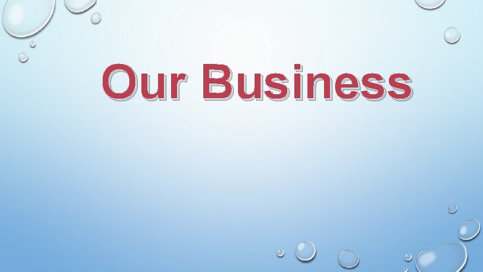 Our Business Our Business