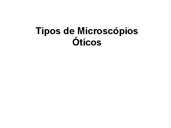 Tipos de Microscópios Óticos Tipos de Microscópios Óticos