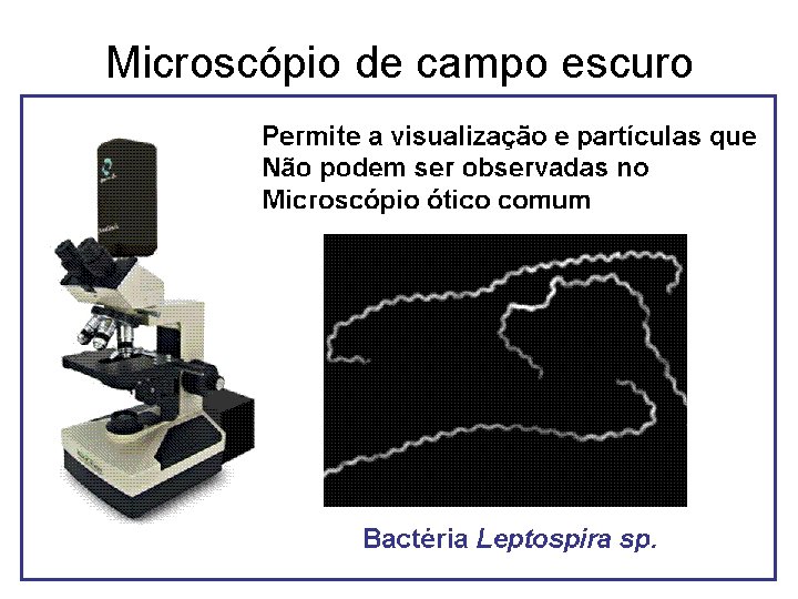 Microscópio de campo escuro Microscópio de campo escuro