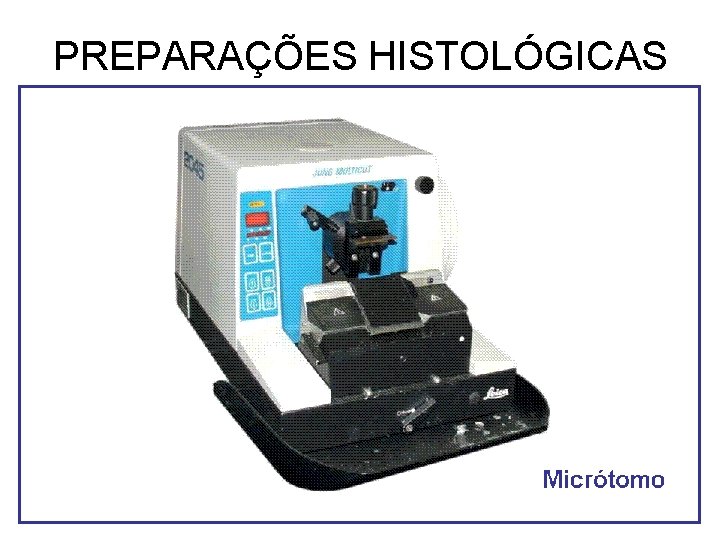PREPARAÇÕES HISTOLÓGICAS PREPARAÇÕES HISTOLÓGICAS