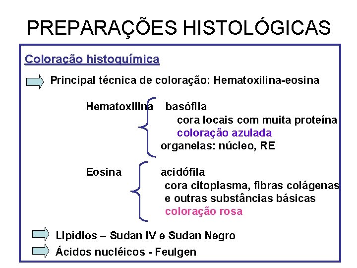 PREPARAÇÕES HISTOLÓGICAS Coloração histoquímica Principal técnica de coloração: Hematoxilina-eosina Hematoxilina basófila cora locais com PREPARAÇÕES HISTOLÓGICAS Coloração histoquímica Principal técnica de coloração: Hematoxilina-eosina Hematoxilina basófila cora locais com