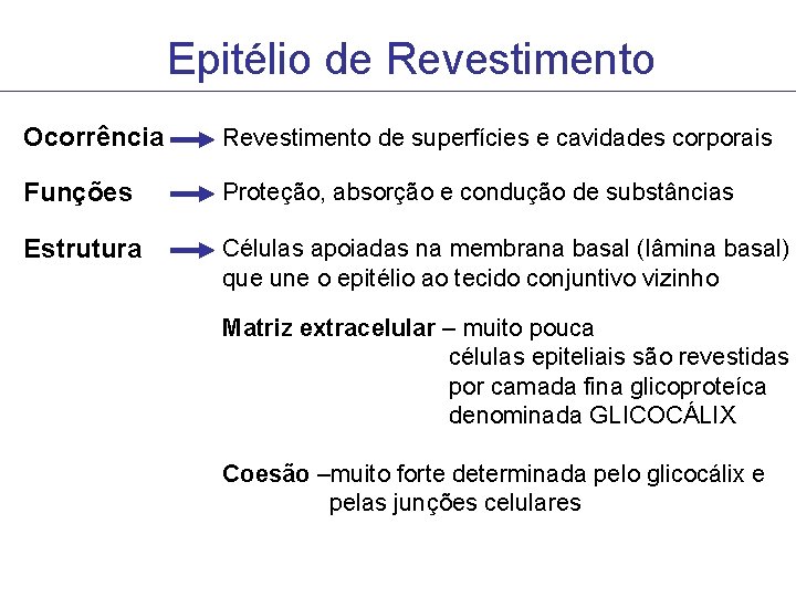 Epitélio de Revestimento Ocorrência Revestimento de superfícies e cavidades corporais Funções Proteção, absorção e Epitélio de Revestimento Ocorrência Revestimento de superfícies e cavidades corporais Funções Proteção, absorção e