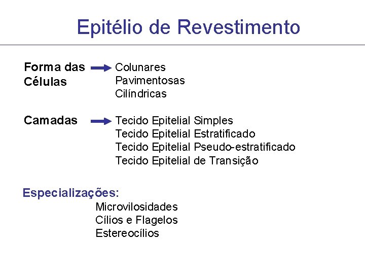 Epitélio de Revestimento Forma das Células Colunares Pavimentosas Cilíndricas Camadas Tecido Epitelial Simples Tecido Epitélio de Revestimento Forma das Células Colunares Pavimentosas Cilíndricas Camadas Tecido Epitelial Simples Tecido