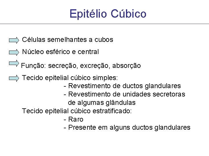 Epitélio Cúbico Células semelhantes a cubos Núcleo esférico e central Função: secreção, excreção, absorção Epitélio Cúbico Células semelhantes a cubos Núcleo esférico e central Função: secreção, excreção, absorção