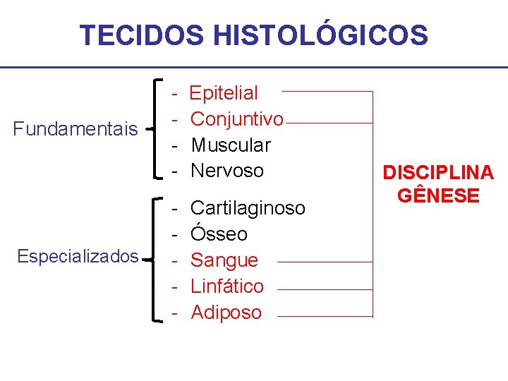 TECIDOS HISTOLÓGICOS Fundamentais Especializados - Epitelial Conjuntivo Muscular Nervoso - Cartilaginoso Ósseo Sangue Linfático TECIDOS HISTOLÓGICOS Fundamentais Especializados - Epitelial Conjuntivo Muscular Nervoso - Cartilaginoso Ósseo Sangue Linfático