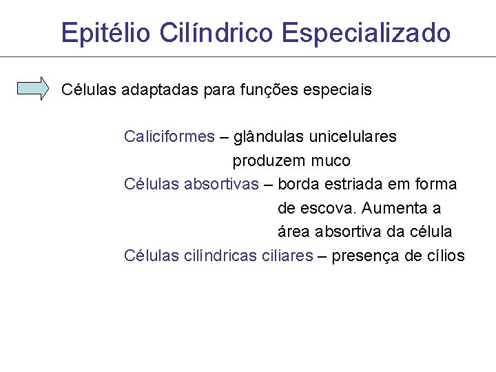 Epitélio Cilíndrico Especializado Células adaptadas para funções especiais Caliciformes – glândulas unicelulares produzem muco Epitélio Cilíndrico Especializado Células adaptadas para funções especiais Caliciformes – glândulas unicelulares produzem muco