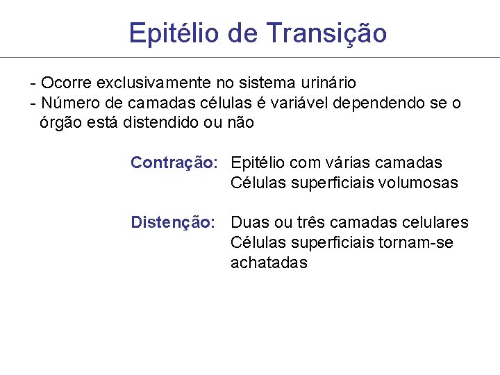 Epitélio de Transição - Ocorre exclusivamente no sistema urinário - Número de camadas células Epitélio de Transição - Ocorre exclusivamente no sistema urinário - Número de camadas células