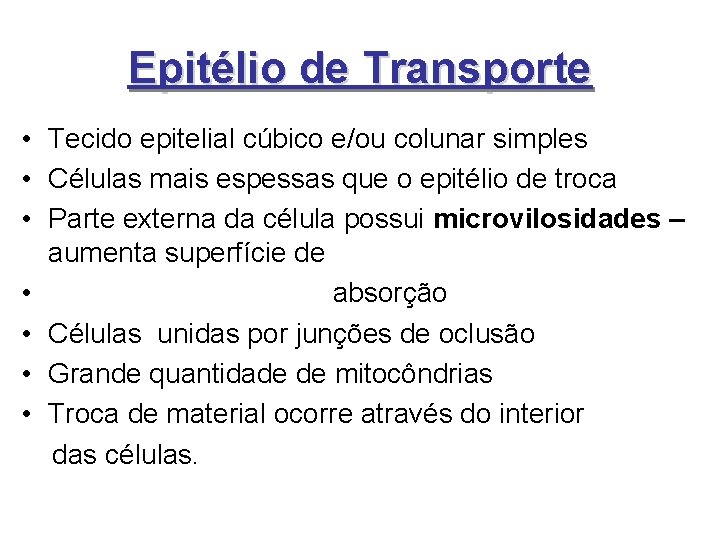 Epitélio de Transporte • Tecido epitelial cúbico e/ou colunar simples • Células mais espessas Epitélio de Transporte • Tecido epitelial cúbico e/ou colunar simples • Células mais espessas