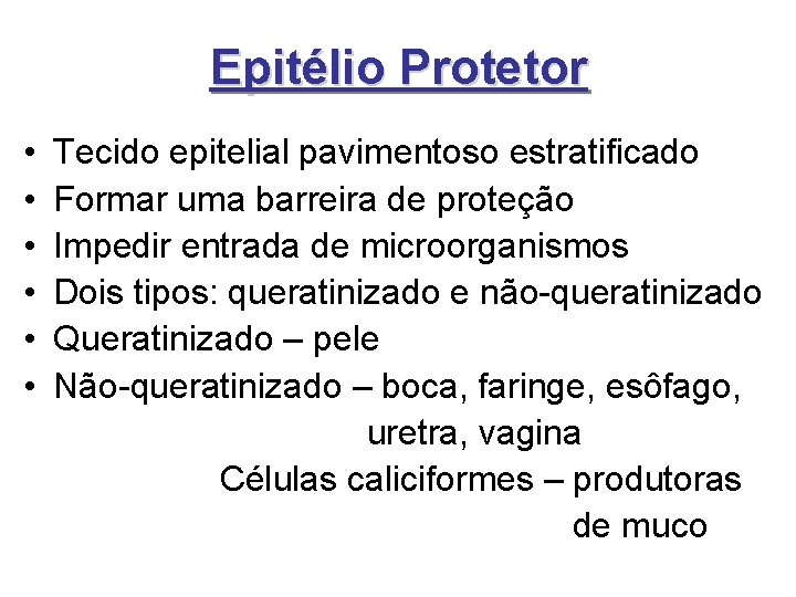 Epitélio Protetor • • • Tecido epitelial pavimentoso estratificado Formar uma barreira de proteção Epitélio Protetor • • • Tecido epitelial pavimentoso estratificado Formar uma barreira de proteção