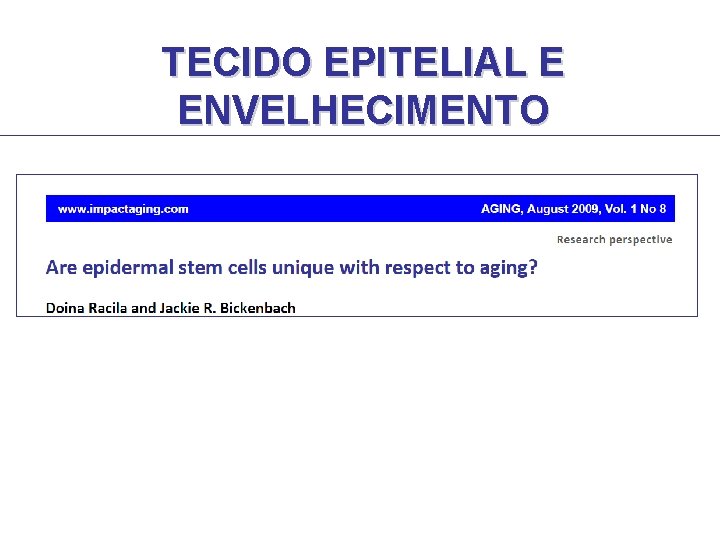 TECIDO EPITELIAL E ENVELHECIMENTO TECIDO EPITELIAL E ENVELHECIMENTO