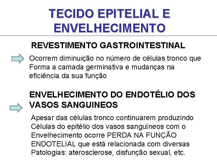 TECIDO EPITELIAL E ENVELHECIMENTO REVESTIMENTO GASTROINTESTINAL Ocorrem diminuição no número de células tronco que TECIDO EPITELIAL E ENVELHECIMENTO REVESTIMENTO GASTROINTESTINAL Ocorrem diminuição no número de células tronco que