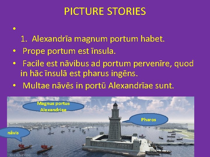 PICTURE STORIES • 1. Alexandrīa magnum portum habet. • Prope portum est īnsula. •