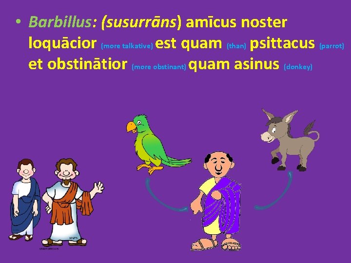  • Barbillus: (susurrāns) amīcus noster loquācior (more talkative) est quam (than) psittacus (parrot)