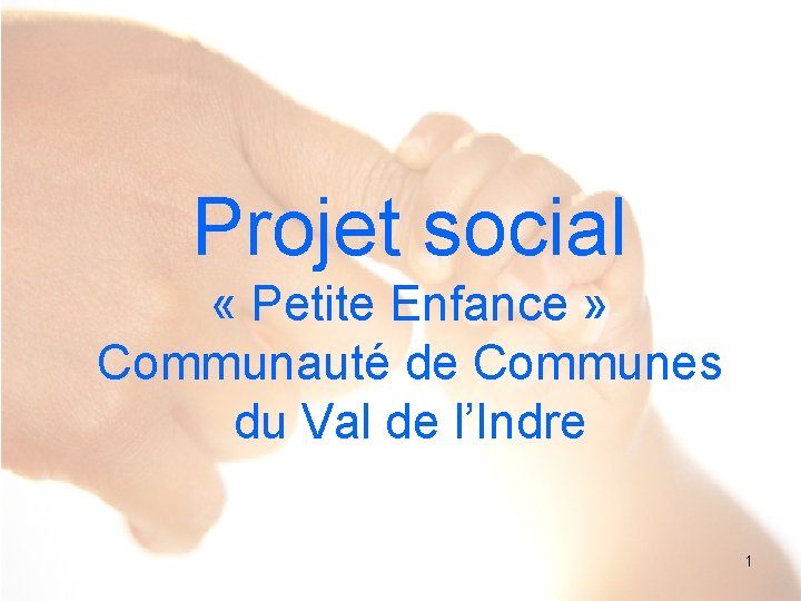 Projet social « Petite Enfance » Communauté de Communes du Val de l’Indre 1