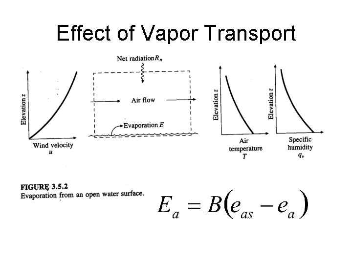 Effect of Vapor Transport Effect of Vapor Transport