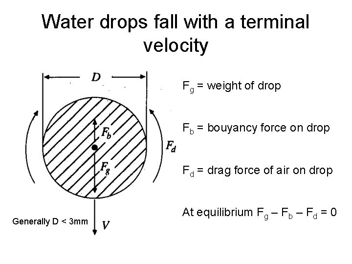 Water drops fall with a terminal velocity Fg = weight of drop Fb = Water drops fall with a terminal velocity Fg = weight of drop Fb =