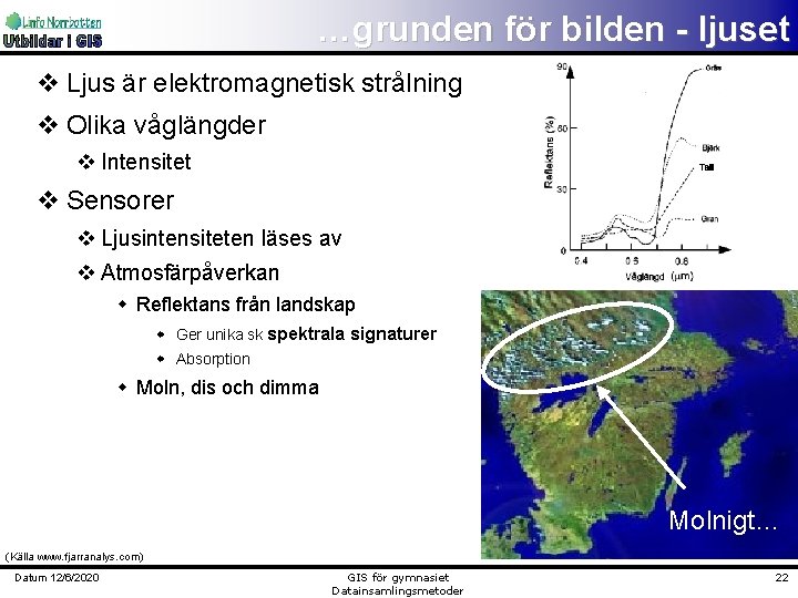 …grunden för bilden - ljuset v Ljus är elektromagnetisk strålning v Olika våglängder v