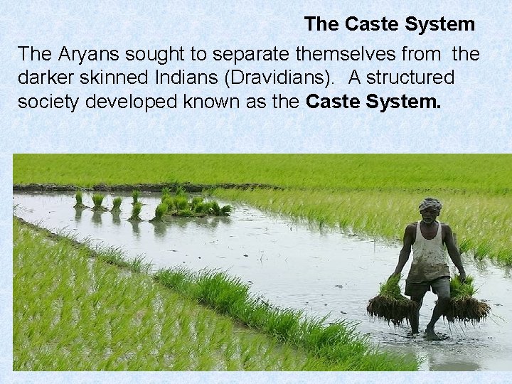 The Caste System The Aryans sought to separate themselves from the darker skinned Indians