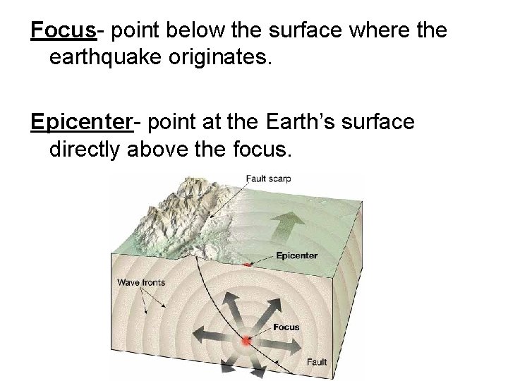 Focus- point below the surface where the earthquake originates. Epicenter- point at the Earth’s