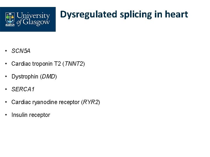 Dysregulated splicing in heart • SCN 5 A • Cardiac troponin T 2 (TNNT