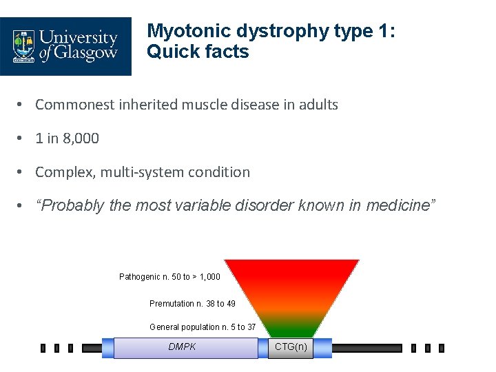 Myotonic dystrophy type 1: Quick facts • Commonest inherited muscle disease in adults •