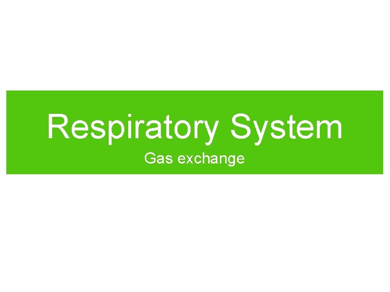 Respiratory System Gas exchange 