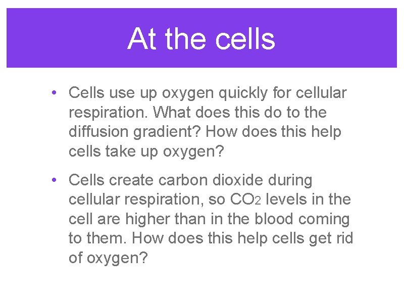 At the cells • Cells use up oxygen quickly for cellular respiration. What does