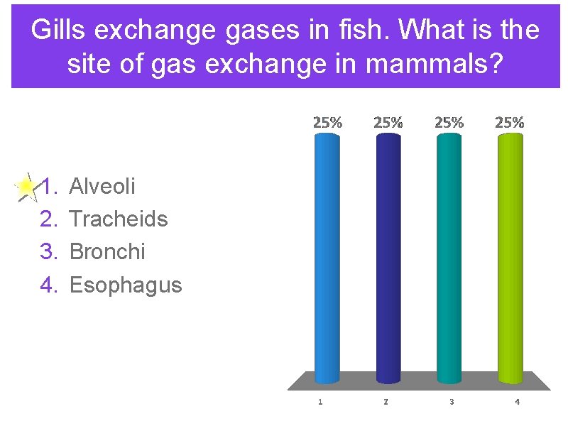 Gills exchange gases in fish. What is the site of gas exchange in mammals?