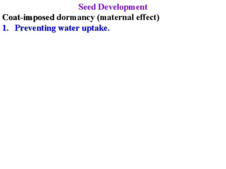 Seed Development Coat-imposed dormancy (maternal effect) 1. Preventing water uptake. 