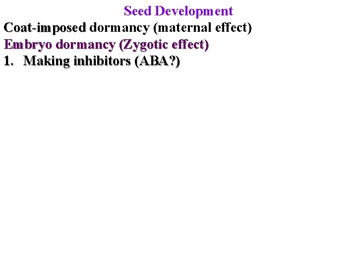 Seed Development Coat-imposed dormancy (maternal effect) Embryo dormancy (Zygotic effect) 1. Making inhibitors (ABA?