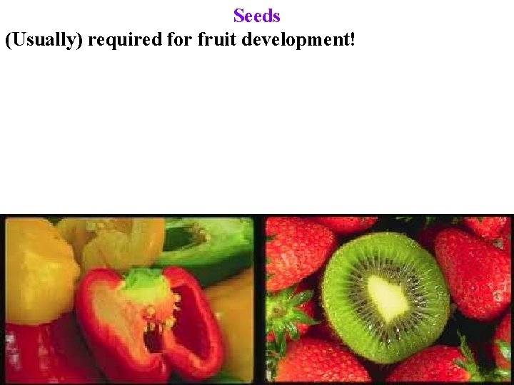 Seeds (Usually) required for fruit development! 