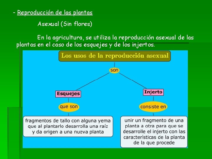 - Reproducción de las plantas Asexual (Sin flores) En la agricultura, se utiliza la
