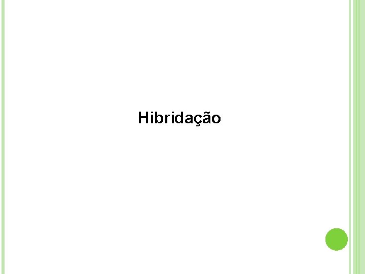 Hibridação 