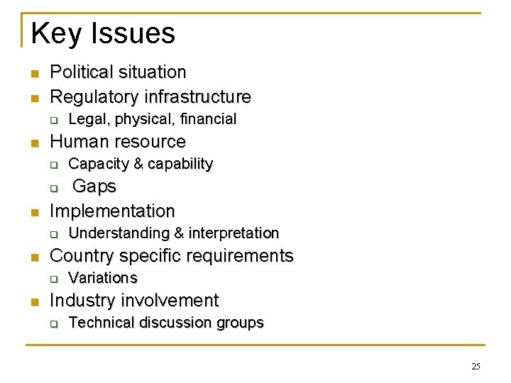 Key Issues n n Political situation Regulatory infrastructure q n Legal, physical, financial Human